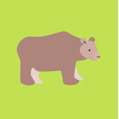 Bear Pastel Canada