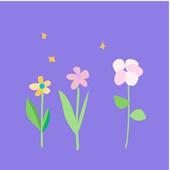 Flowers Pastel Canada