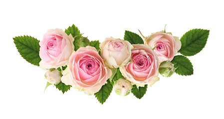 Small pink rose flowers and green leaves in a floral arrangement isolated - obrazy, fototapety, plakaty