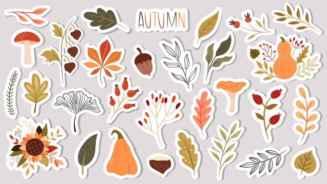 Decorative set of autumn plant stickers on a separate background