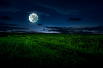 Fototapeta na wymiar Evening time landscape in meadow with moonlight