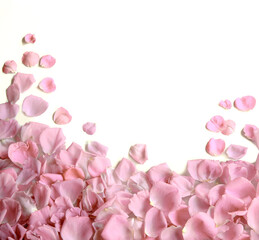 Natural background of rose petals