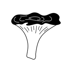 Cute hand drawn chanterelle mushroom. Doodle line art vector illustration. Food ingredient.