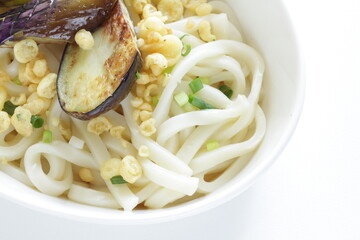 Japanese summer food, deep fried eggplant and cold udon noodles with copy space