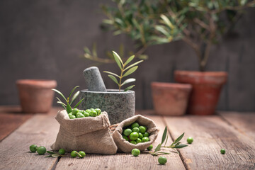 Green raw olives with branch and olive berries.