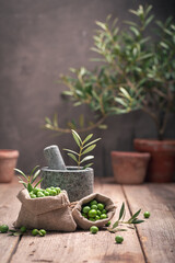 Green raw olives with a twig and mortar.