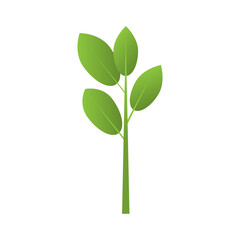 vector plant tree for decorate, growing plant tree, nature leave, green plant in door