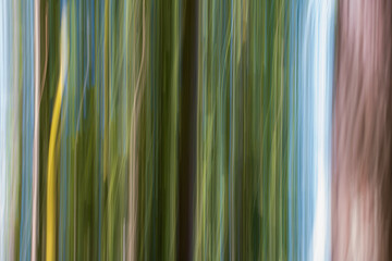 Defocused colorful image with texture and movement due to Intentional Camera Movement, ICM. Artistic abstract moody image with motion blur of trees in a forest. Lousã, Coimbra, Portugal