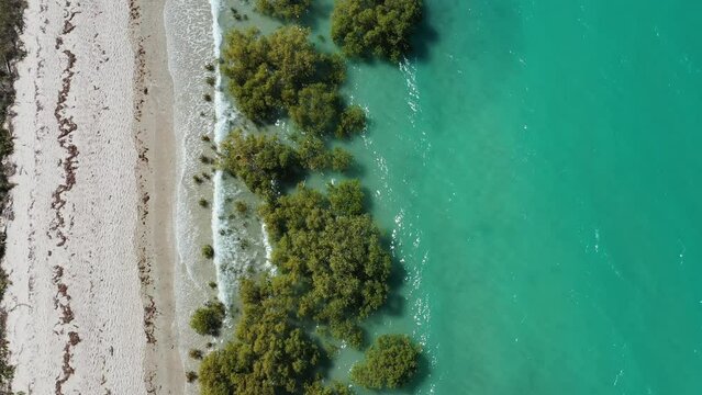 Aerial landscape view of sea mangroves in Cape Leeuwin in the  Kimberley region Western Australia. 