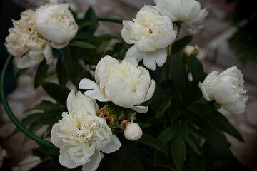 white flowers