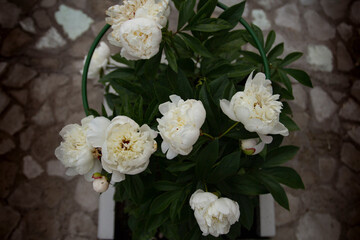 bouquet of white flowers