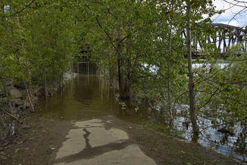 Flooded trail under the railway bridge over Fraser River at Prince George in British...