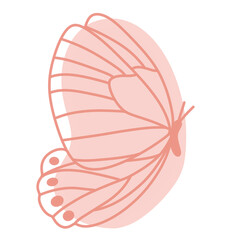Boho Butterfly Illustration