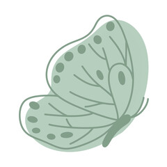 Boho Butterfly Illustration