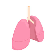 Lungs Isometric Illustration