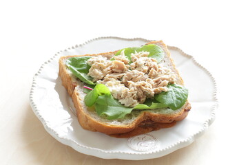 Tuna and mayonnaise  with baby spinach open sandwich  for nutrition breakfast