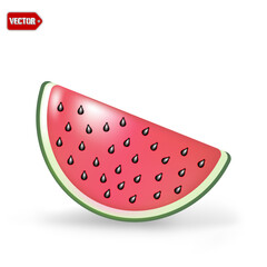 Watermelon and juicy watermelon slice vector illustration in design isolated on white background, minimal style