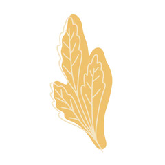 Boho Flower Illustration