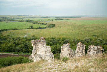 Fototapeta na wymiar View on chalk stone cretaceous divas above green valley in Divnogorie, Voronezh region, Russia