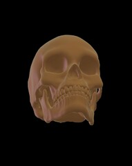 human skull isolated on black