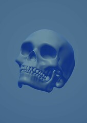 Fototapeta premium human skull scan