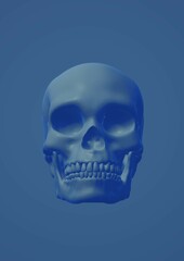 skull and crossbones