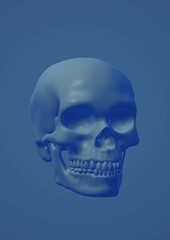 human skull x ray blue transparent