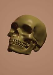 human skull isolated on black