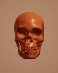 human skull isolated on black