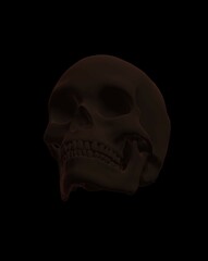 human skull on black