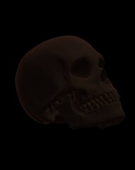 skull and crossbones