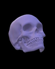human skull isolated on black
