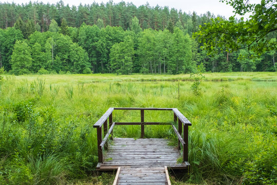 Botanischer Naturlehrpfad bei Paluse im Bezirk Ignalina Litauen Lietuva