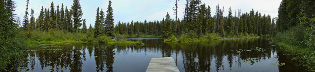 Fototapeta premium View of Berman Lake in Berman Lake Regional Park in British Columbia,Canada,North America 
