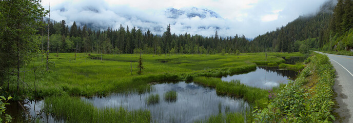 Beautiful lakes at the road from Stewart to Hyder in Alaska,USA,North America
