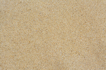 Texture of sandy beach as background, closeup