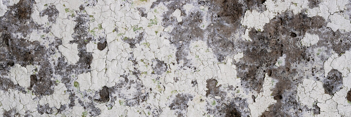 Peeling paint on the wall. Panorama of a concrete wall with old cracked flaking paint. Weathered rough painted surface with patterns of cracks and peeling. Wide panoramic grunge texture for background