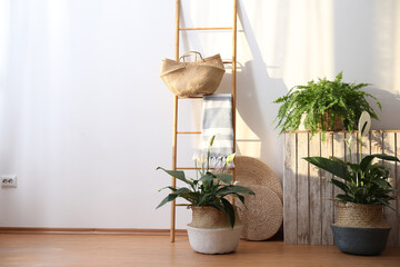 Beautiful plants in wicker pots near white wall indoors. Interior design idea
