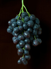 a bunch of ripe grapes lies in the kitchen