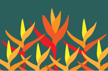 Heliconia flowers on dark green background.