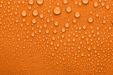Water drops on orange background, top view