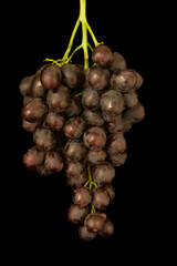 a bunch of ripe grapes lies in the kitchen