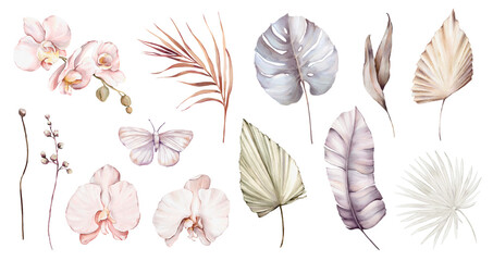 Watercolor set with flowers and butterflies, tropical leaves, palm leaves, orchid blooms. High quality illustration