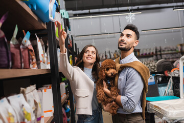Smiling woman pointing with hand near muslim boyfriend with poodle in pet shop