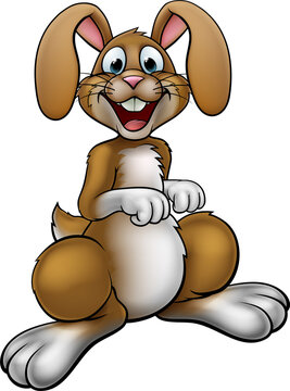 Easter Bunny Rabbit Cartoon Character
