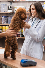 Smiling veterinarian holding poodle near man and payment terminal in pet shop