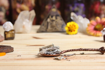 Sage in Vintage Spoon on Meditation Altar With Pyramid in Background