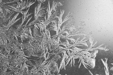 Frozen texture. Frost patterns on frozen window as a symbol of Christmas wonder.