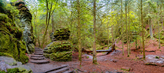 Panoramic over magical enchanted fairytale forest with fern, moss, lichen and sandstone rocks at...