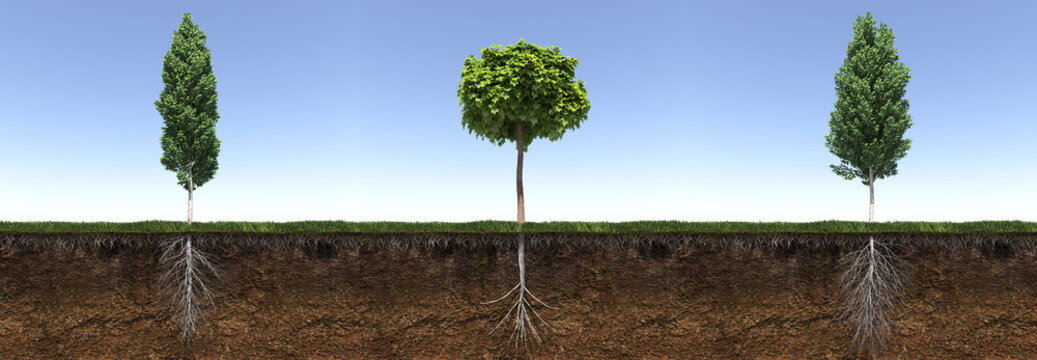 tree with strong and deep roots, 3d render